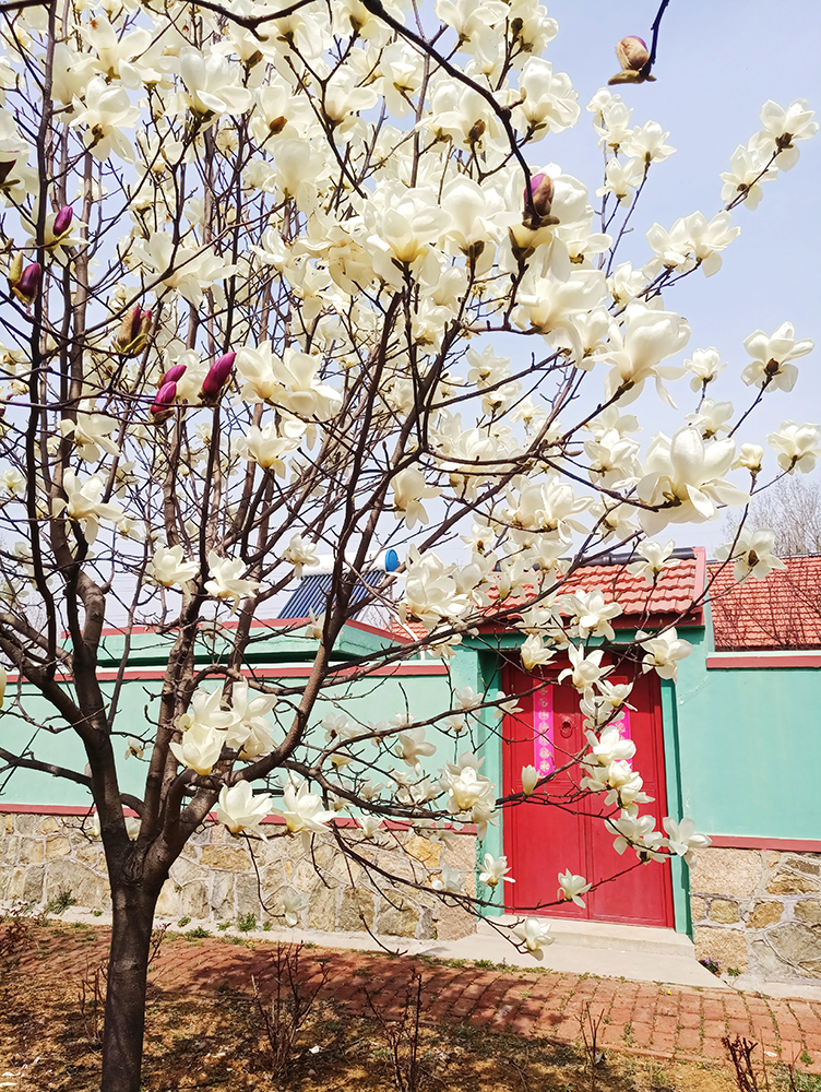 1554361386102790pD12.jpg 微信圖片_20190327143500.jpg