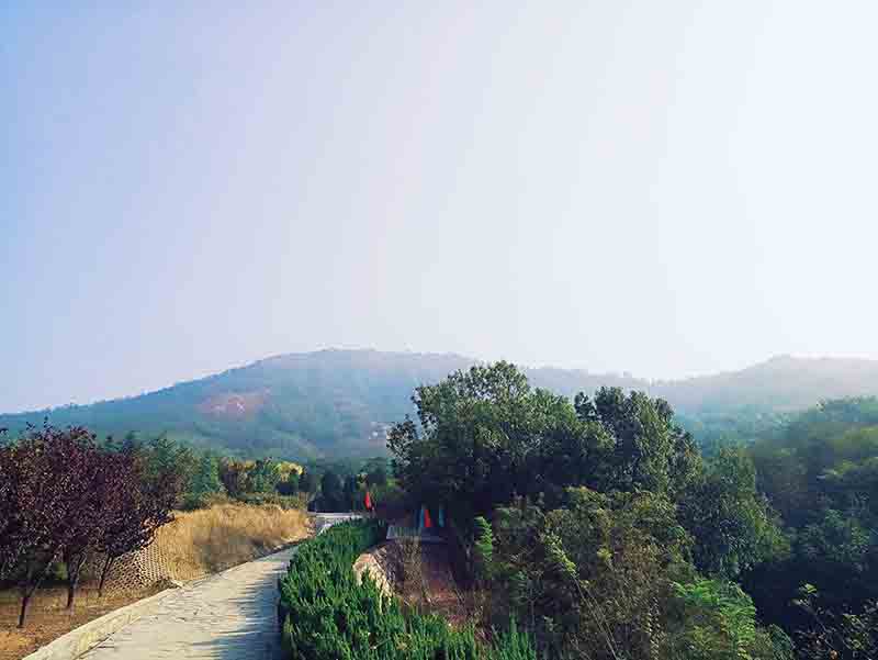 1554361512102437pD16.jpg P71021-093447_mh1508571482265.jpg