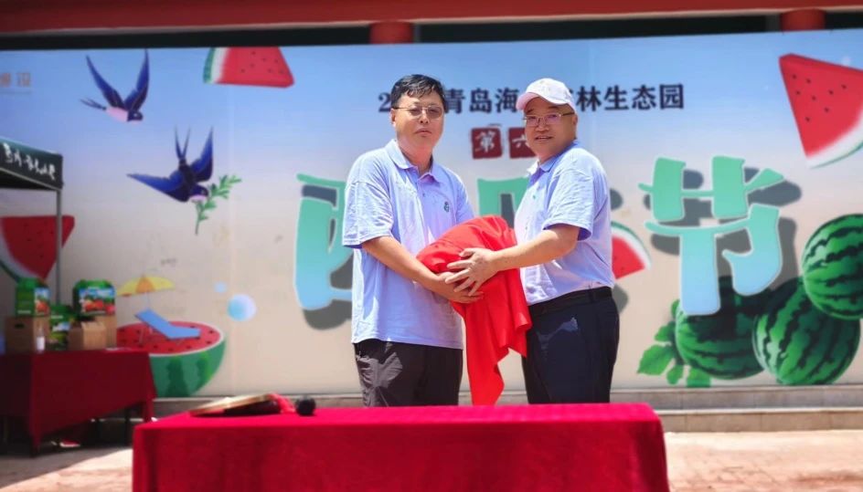 16889693287538301603.jpg 3-12.jpg