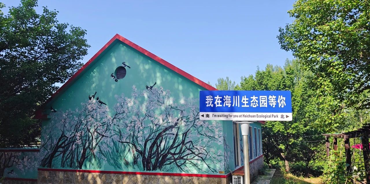 1688969365238008A54A.jpg 3-13.jpg